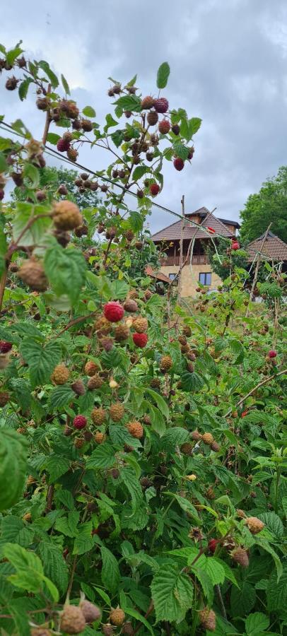 Rankovi Konaci Villa Zlatibor Eksteriør billede