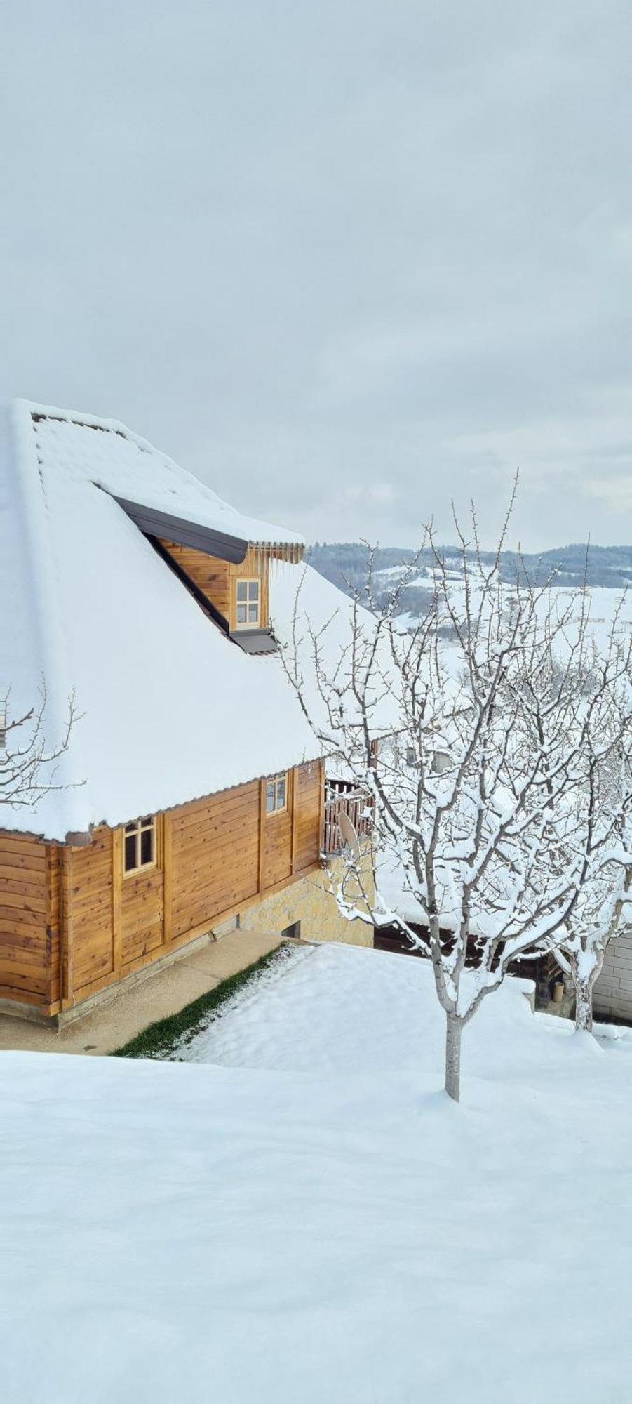 Rankovi Konaci Villa Zlatibor Værelse billede